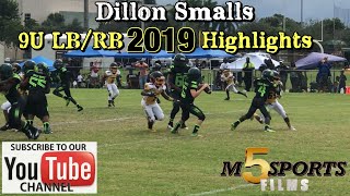 Dillon Smalls 9U LBRB 2019 Highlights [upl. by Chiarra]