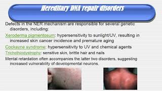 DNA damage and repair mechanism [upl. by Root838]