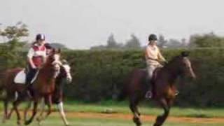 20 mile gallop at Newmarket over 3000 horses went [upl. by Orola]