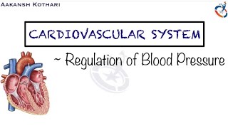 Regulation of Blood Pressure  Baroreceptor and Chemoreceptor  Cardiovascular System Physiology [upl. by Rosetta]