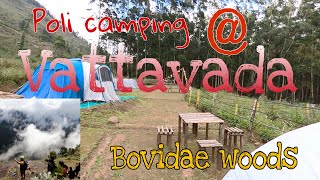 വട്ടവടയിലെ ഒരു പൊളി camping Bovidae woods [upl. by Caswell]