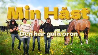 Min häst Den har gula öron [upl. by Magavern]