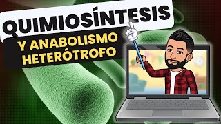 QUIMIOSÍNTESIS y ANABOLISMO HETERÓTROFO [upl. by Ylim]