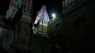 Tenkasi Thirumalai Kovil in pushpa scenes Thanga Theru Thirumalai Kovil Night I Pushpa alluarjun [upl. by Reivazx]