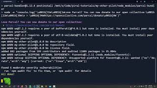 Piral Tutorials  8 The Piral CLI [upl. by Publius]