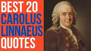 Best 20 Carolus Linnaeus Quotes  The Swedish Botanist Physician and Zoologist  DailyQuotes [upl. by Satsoc941]