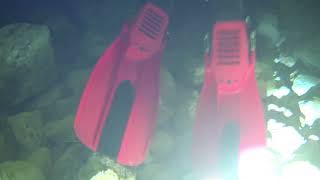 Ginnie Springs Cave Dive to the Double Lines [upl. by Llarret332]