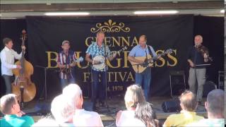 High on grass at Grenna Bluegrass festival 2015 [upl. by Annot]