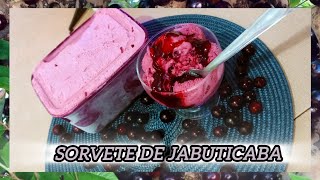 Sorvete Caseiro de jabuticaba [upl. by Faxun]