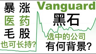 第51期「幂笈投资」黑石集团，Vanguard大量买入，这支毛股有何魅力？ 下一支暴涨潜力股？ 复盘ABML DGLY CTRM  PTN Stock  Stock Ticker PTN [upl. by Benedikt]