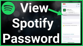 How To See Your Password On Spotify [upl. by Eedyak]