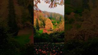 Beautiful countryside Stourhead Autumn 🍂 shorts automobile 移英日誌 [upl. by Mathilde]