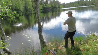 Effektivt markfiske Fiskemetoder aktivt fiske og kilosørret [upl. by Haidej]