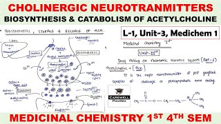 Cholinergic Neurotransmitter  Biosynthesis and Catabolism of Acetylcholine  L1 U3  Medichem 1 [upl. by Silverts]