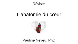 Physiologie CardioVasculaire – Réviser l’anatomie du cœur 001  Dr Pauline Neveu [upl. by Zamir602]