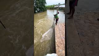 Real Life 100 Net Fishing In River At The Countryside Part 593 amazingfishinglife fishing [upl. by Herrick]