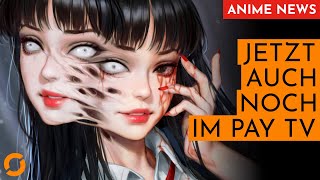 HORROR für AnimeFans Noch ein kostenpflichtiger Dienst — Anime News 345 [upl. by Najtsirk]