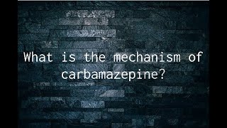 What is the mechanism of carbamazepine [upl. by Jobye346]