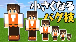 体が小さくなるバグ技を発見これは便利すぎないかマイクラ実況Part474【マインクラフト】 [upl. by Yelrac305]