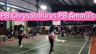 Friendly match  PB Chrysocolla vs PB Amarilis [upl. by Olcott909]