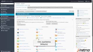 Plesk Panel Domain DNS Ayarları [upl. by Koy]