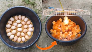 BEST Incubator For Chicken Eggs With 100 Efficiency  Chicken Hatchery  Chicken Egg Incubator [upl. by Ynahpit]