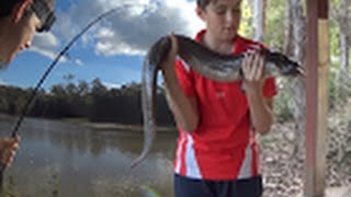 INSANE EEL FISHING Catch and Cook [upl. by Landis]