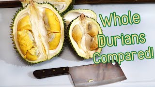 MALAYSIAN DURIANS COMPARED  D101 VS D13  Weird Fruit Explorer [upl. by Haibot]