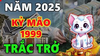 Tử vi tuổi KỶ MÃO 1999 năm 2025 NĂM ĐẦU TAM TAI dũng cảm đối diện sẽ vượt qua trở ngại [upl. by Nolly]