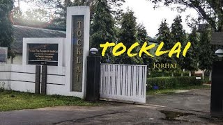 A day in TOCKLAI  jorhat  TRA TOCKLAI TEA [upl. by Strain]