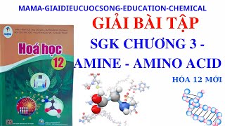 HÓA 12 GIẢI BÀI TẬP AMINE  AMINO ACID SÁCH GIÁO KHOA CÁNH DIỀU [upl. by Washington]