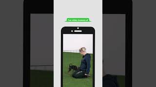 OneMind Dogs Online Dog Agility Starter Kit  FREE download [upl. by Bordy]