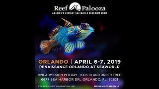 ReefAPalooza 2019  Orlando  Parte 1 [upl. by Sudbury]