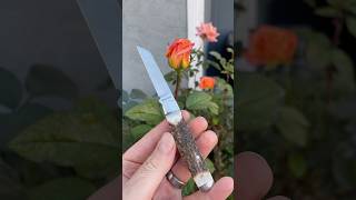 Knife time Let’s look at a rose craft next to the rosebush Senator slipjoint edc￼everydaycarry [upl. by Lynde]