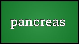 Pancreas Meaning [upl. by Huberty49]