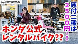 ホンダのレンタルバイクってどうなの？「HondaGO BIKE RENTAL」を体験してきた！ （スーパーカブ110、モンキー125） [upl. by Siurtemed]