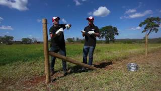 Instalación Alambre de Púas Motto [upl. by Kneeland855]