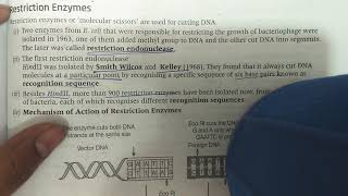 Restriction enzyme class 12 biotechnology [upl. by Forbes]