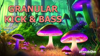 Granular Kick amp Bass for Forest Intros and Breakdowns [upl. by Ydnar]