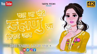 Chal Pori Dahanu La Fira Jav  Gavthi Song New 2024 Tarpa Music 2024  New Tarpa 2024  gavthisong [upl. by Nalani]