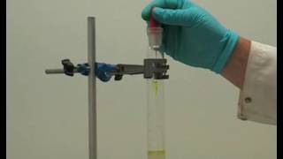 Column chromatography  Chemistry [upl. by Redneval780]