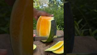 Satisfying yellow watermelon  Asmr Cutting shorts [upl. by Sgninnej511]