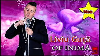 Liviu Guta  Of inima NOU 2013 [upl. by Hanahs]