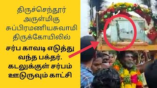 திருச்செந்தூர் சர்ப காவடி  பாம்பு கடலுக்குள் செல்லும் அற்புதமான காட்சி  Tiruchendur Murugan Temple [upl. by Dorian]