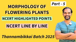 Morphology of Flowering Plants in Tamil  Part 5  TB 2025 [upl. by Lehplar]