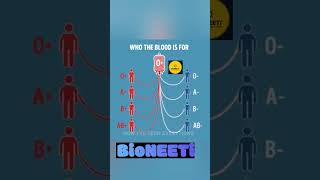 Know Your Blood Type  Way To Save Life  NEET 2025 NCERT Biology [upl. by Natfa]