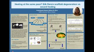 Healing at the same pace Silk fibroin scaffold degeneration vs wound healing [upl. by Mohandas27]