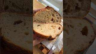 The EASIEST Sourdough Recipe 🥖 find the exact recipe on my Tik Tok sourdoughbread sourdough [upl. by Gerty217]