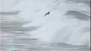 Andy Irons surfs Waimea bay shorebreak [upl. by Essa]