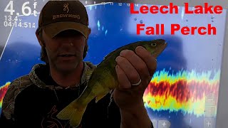 Leech Lake Fall Perch Fishing [upl. by Bodrogi]